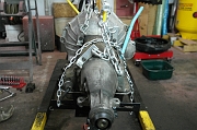 SAM_0307