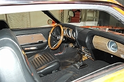 SAM_0494